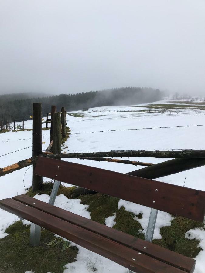 Ferienhaus Schneeweiss Vila Winterberg Exterior foto